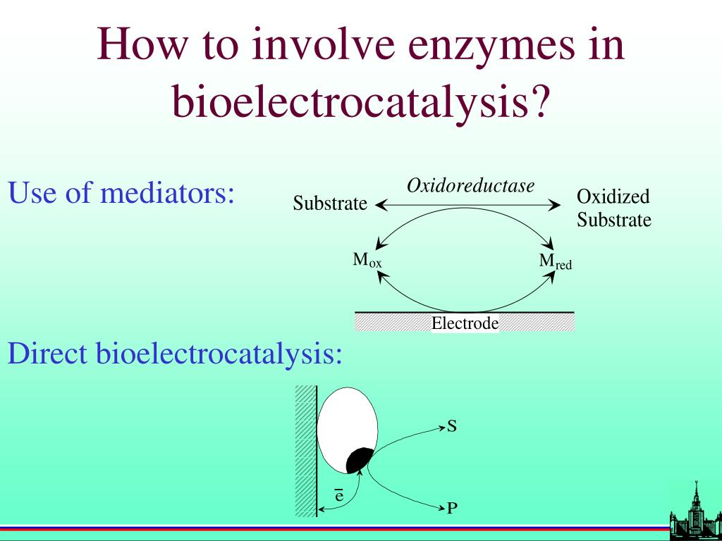 PPT Bioelectrocatalysis PowerPoint Presentation, free download ID