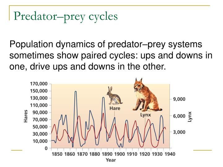 PPT Species Interactions and Community Ecology PowerPoint