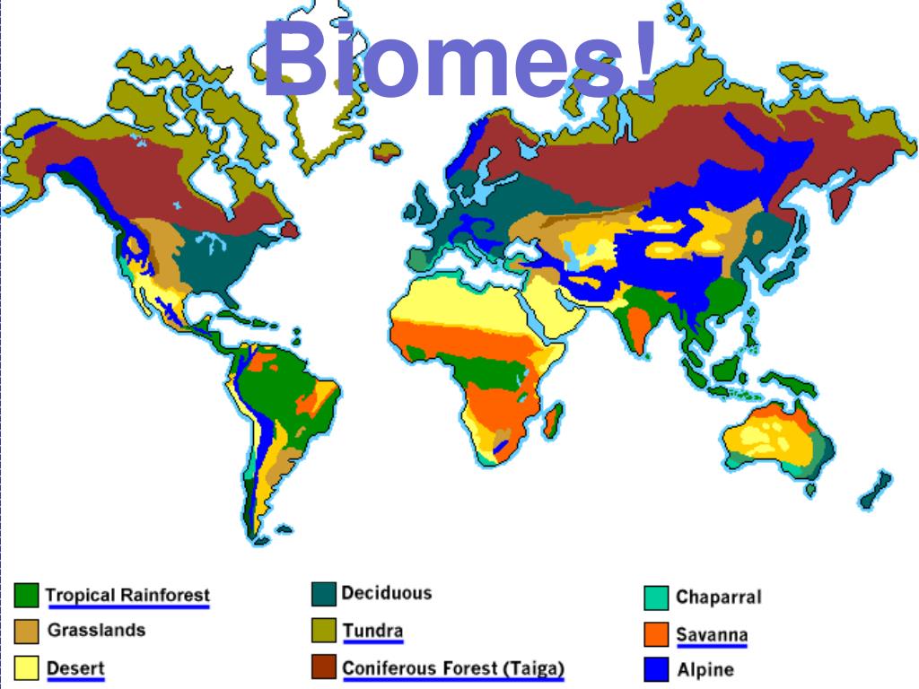 PPT Biomes! PowerPoint Presentation, free download ID1428102