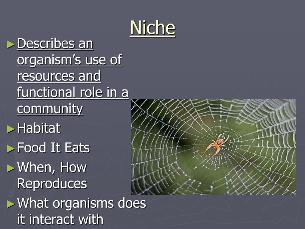 PPT Chapter 5 Evolution and Community Ecology PowerPoint