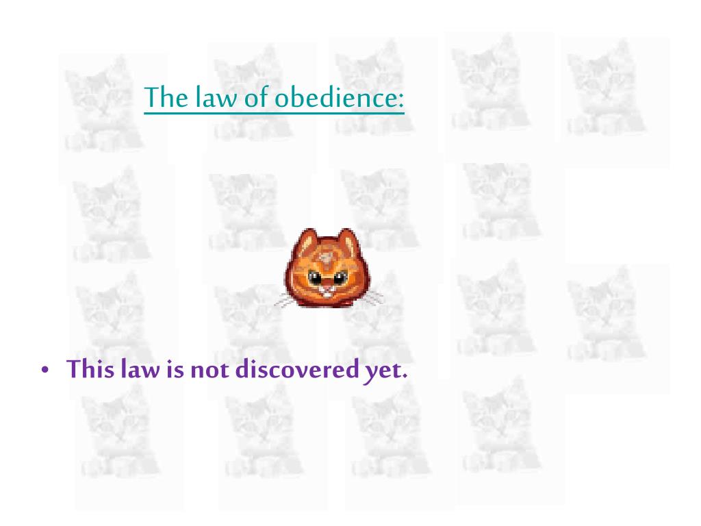 PPT The Laws of Physics for the Cats . PowerPoint Presentation, free