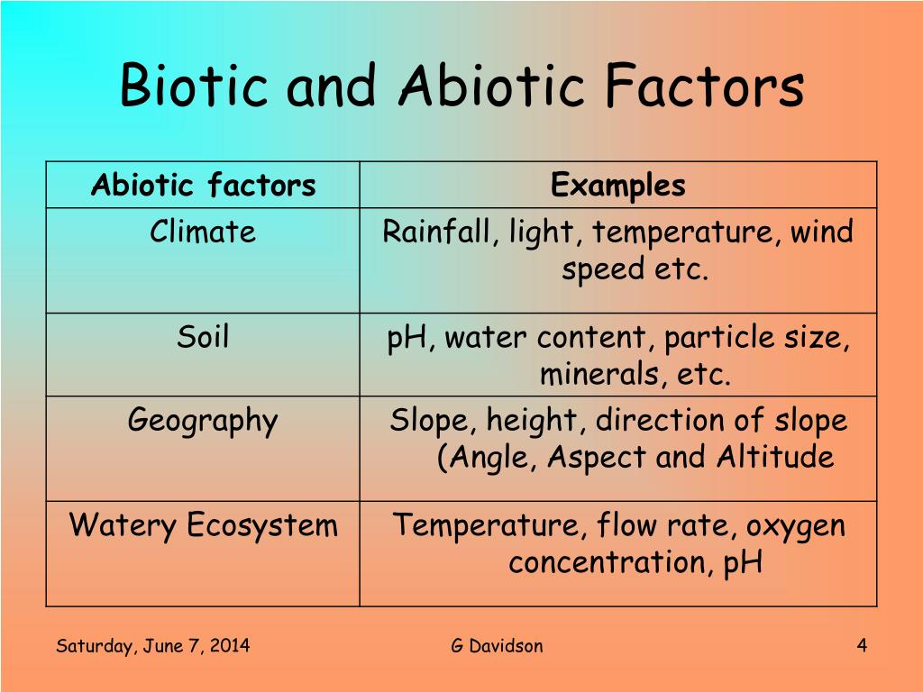 PPT Higher Biology PowerPoint Presentation, free download ID1428573