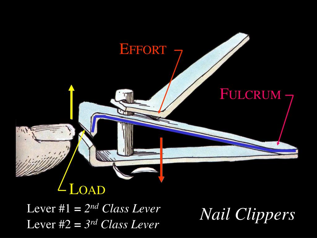 PPT Levers PowerPoint Presentation, free download ID1428651