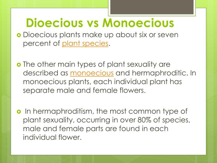 PPT How Can Flowers Benefit Our Environment? PowerPoint Presentation