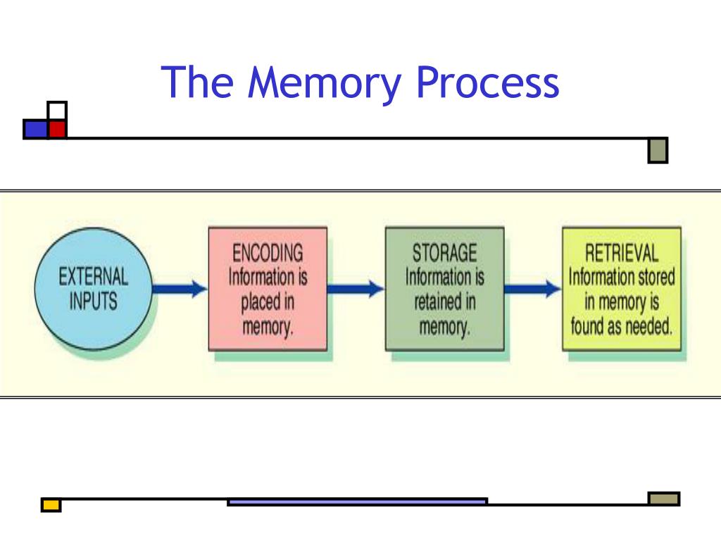 PPT Information Processing Part I PowerPoint Presentation, free