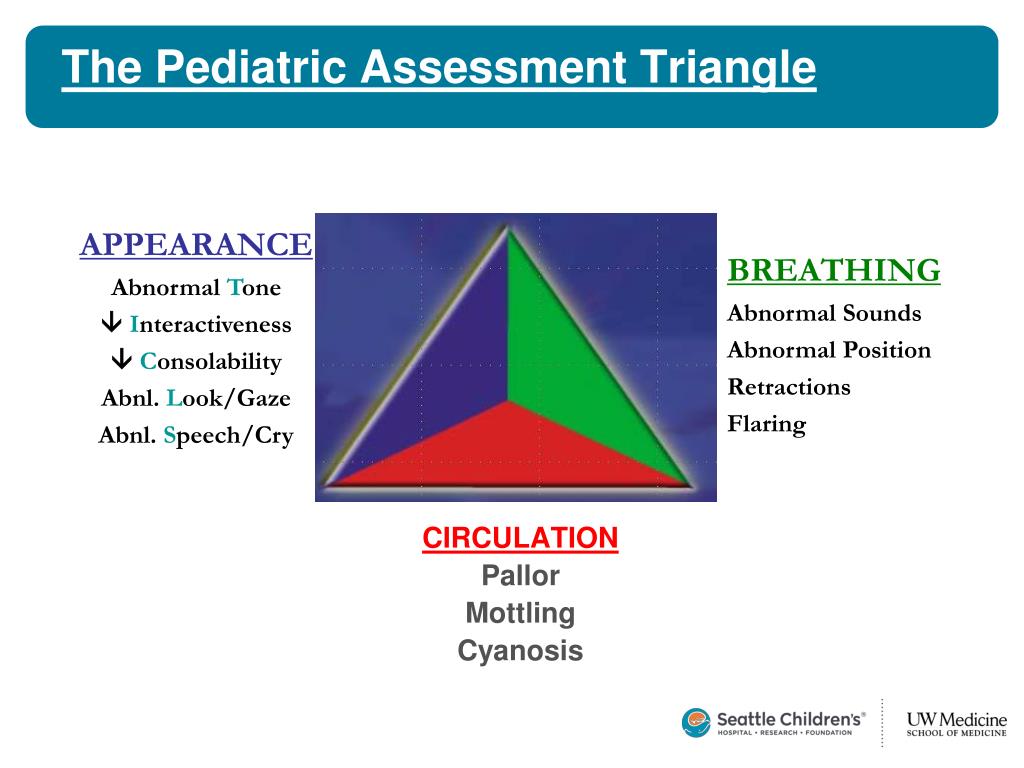 PPT EMS For Children Nonaccidental Trauma PowerPoint Presentation