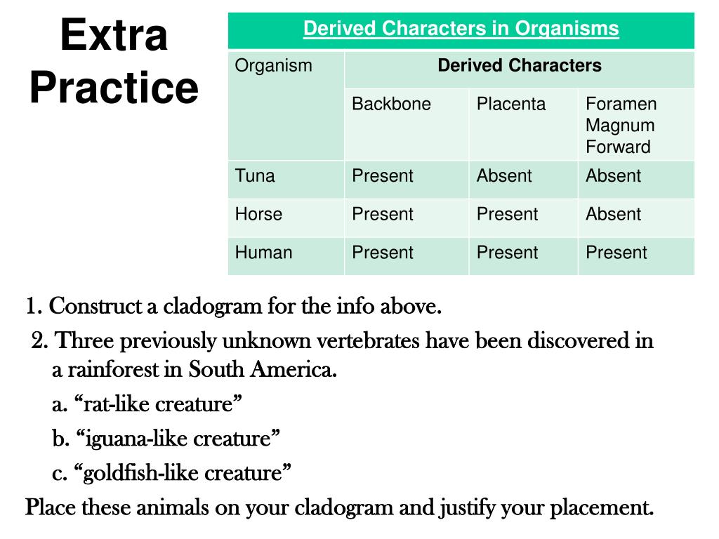 PPT - Modern Evolutionary Classification Notes- Ch. 18.2 PowerPoint