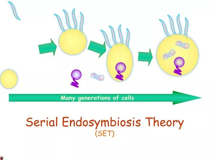 PPT Serial Endosymbiosis Theory (SET) PowerPoint Presentation, free