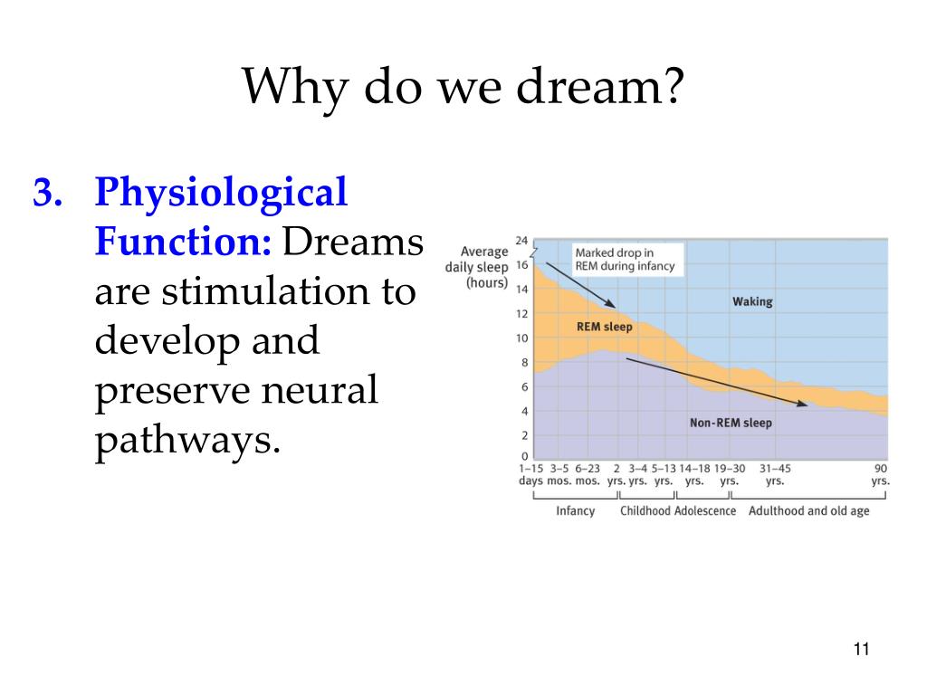 PPT Do Now 1) What are the five theories for why we dream? 2) What