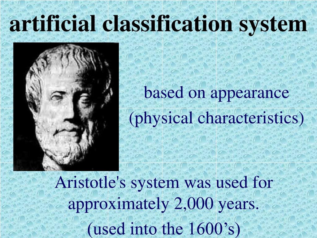 PPT Classifying Organisms PowerPoint Presentation, free download ID
