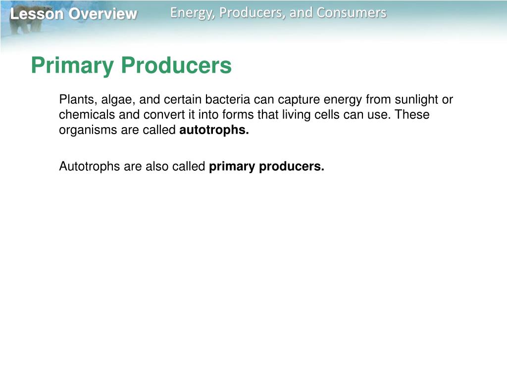 PPT Lesson Overview PowerPoint Presentation, free download ID1441563