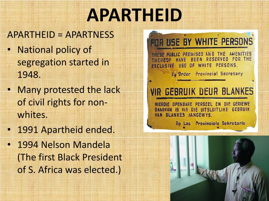 Prentice Hall African American History Textbook Pdf