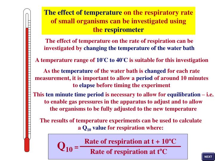 PPT The Respiratory Quotient or RQ value is a measure of the ratio of