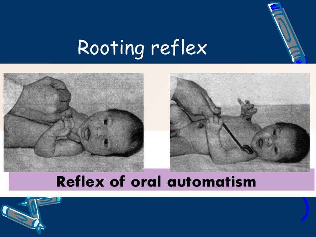 PPT Main Milestones Of Child’s Psychomotor Development PowerPoint