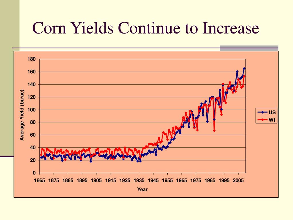 PPT Corn Seeding Densities and Transgenic Traits Economics and
