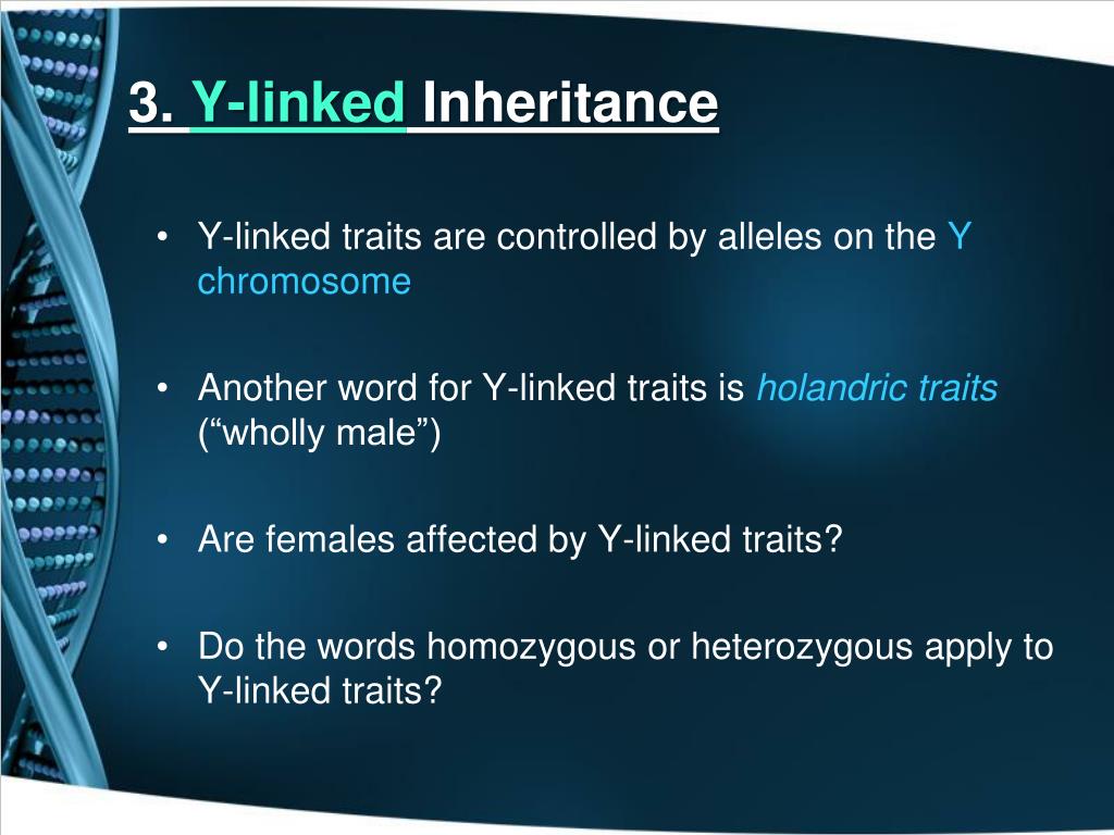 PPT PowerPoint Presentation, free download ID1447494