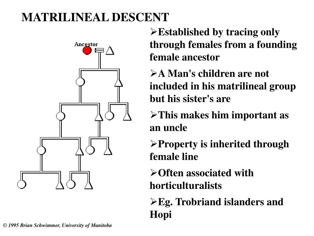 PPT KINSHIP PowerPoint Presentation, free download ID1447656