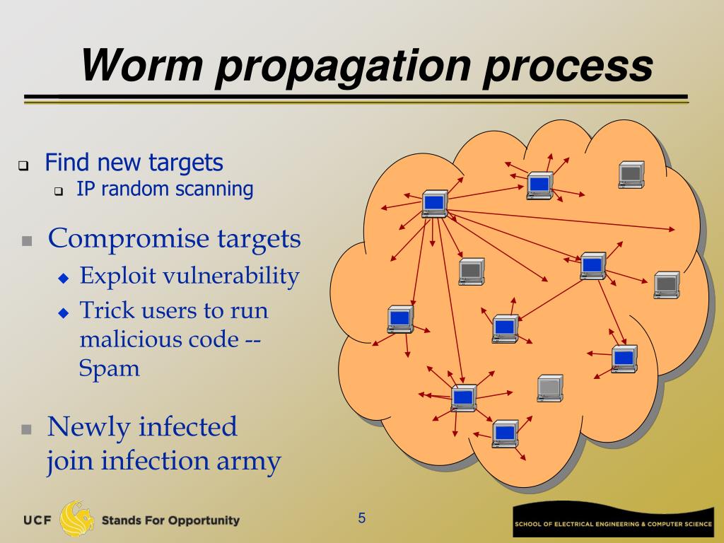 Ppt What Does Exploit Mean And The Sasser Worm Powerpoint