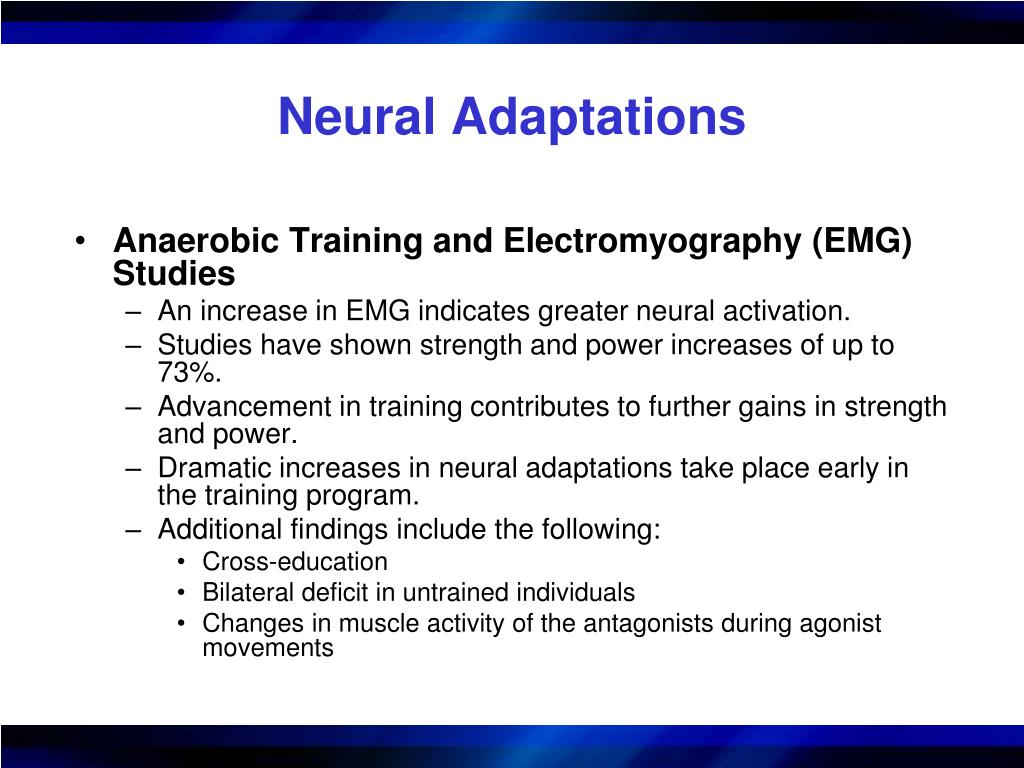 PPT Adaptations to Anaerobic Training Programs PowerPoint