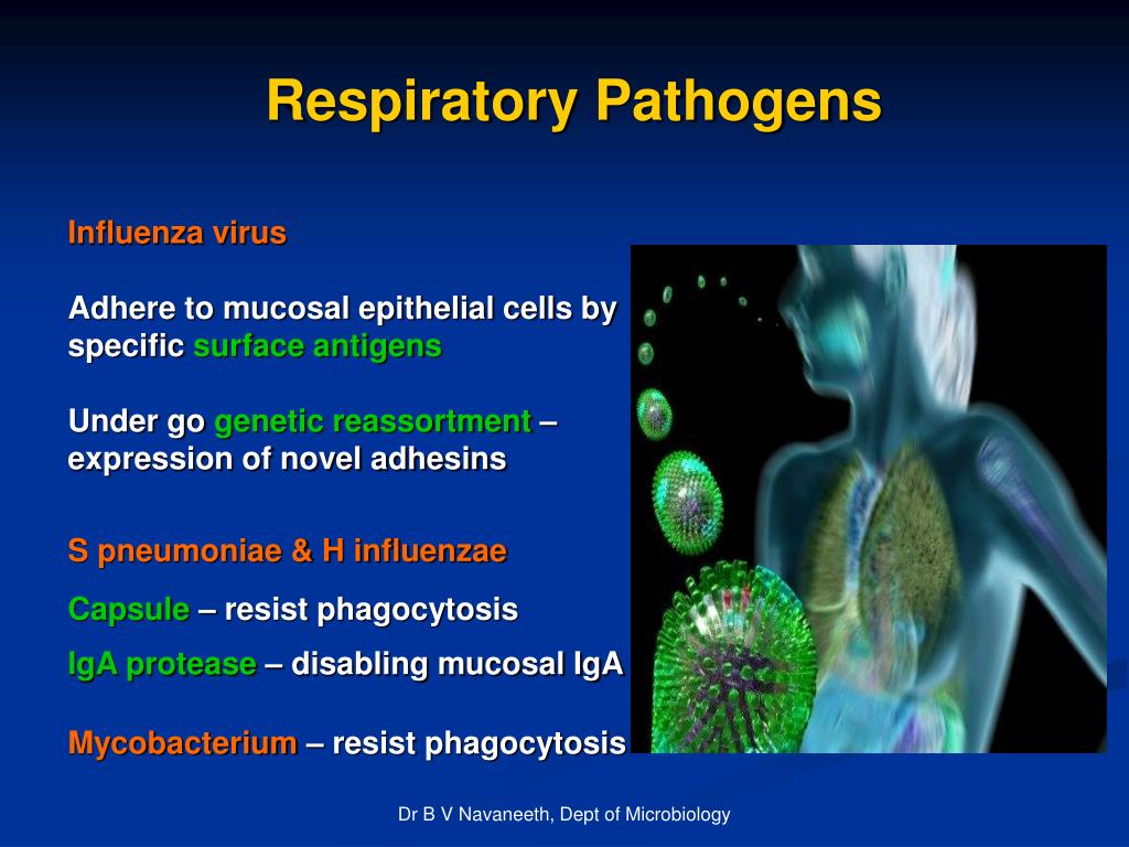 PPT RESPIRATORY TRACT INFECTIONS (RTI) PowerPoint Presentation, free