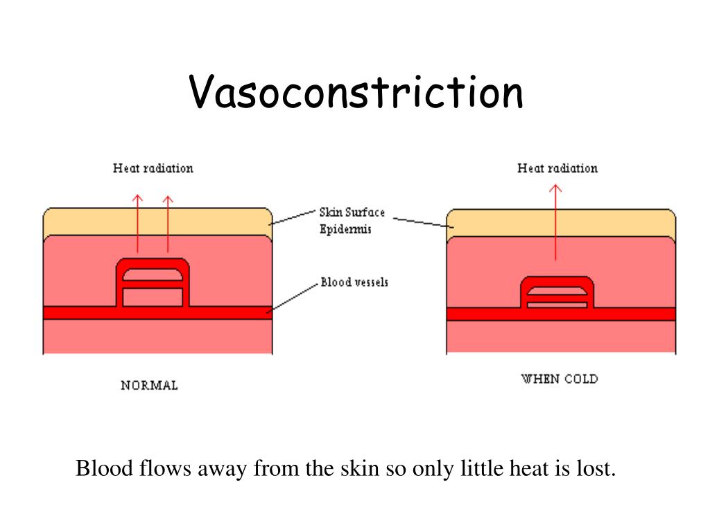 PPT Regulating Mechanisms PowerPoint Presentation, free download ID