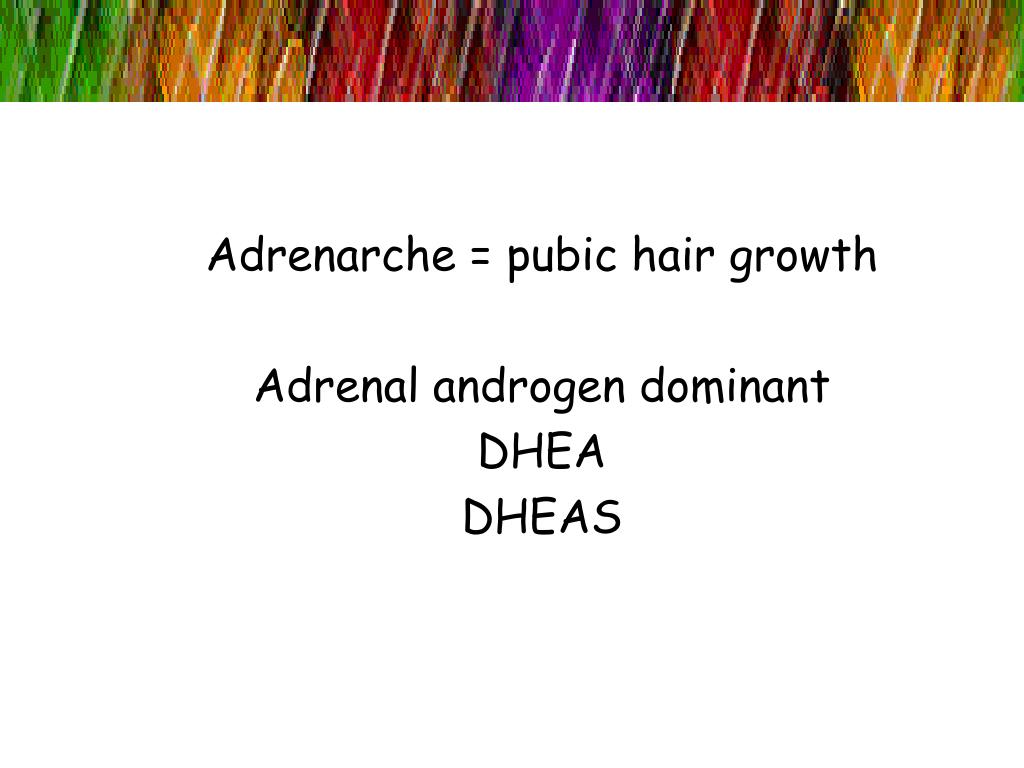 PPT Which came first the chicken or the egg? Physiology of Reproduction PowerPoint