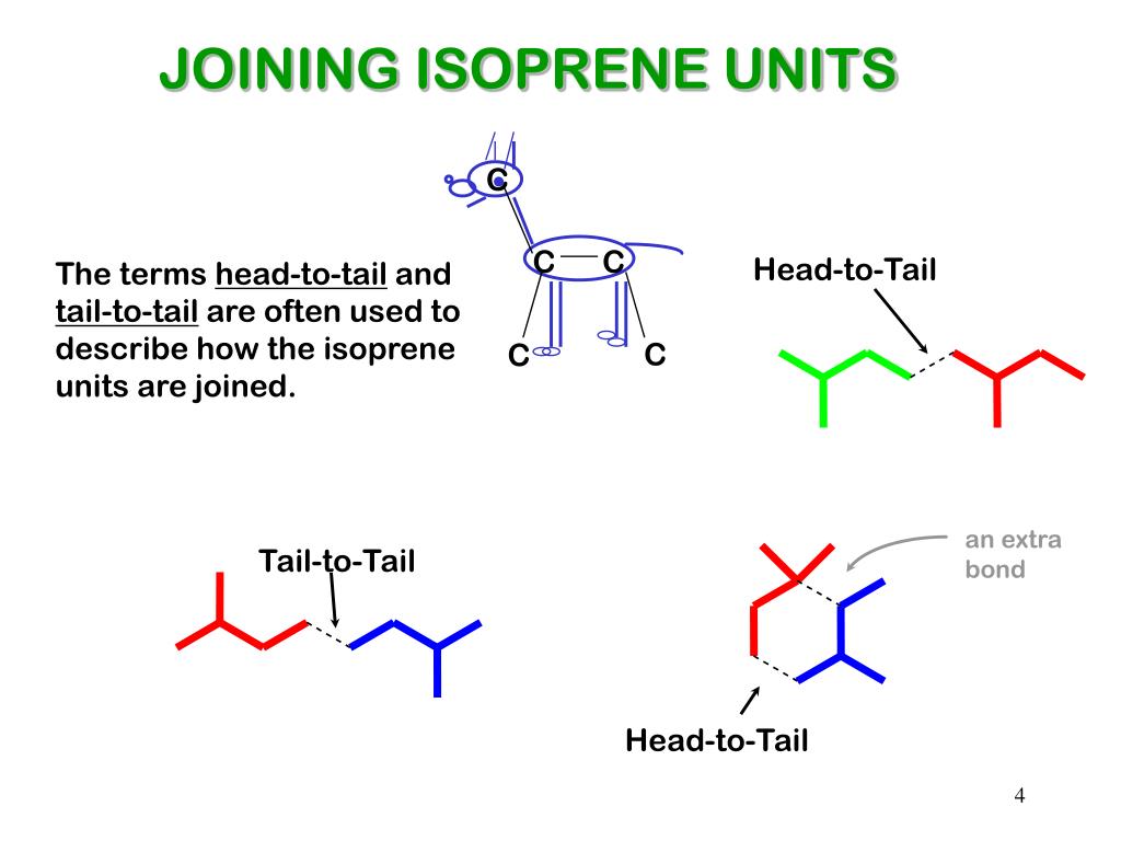 PPT TERPENES PowerPoint Presentation, free download ID1453129