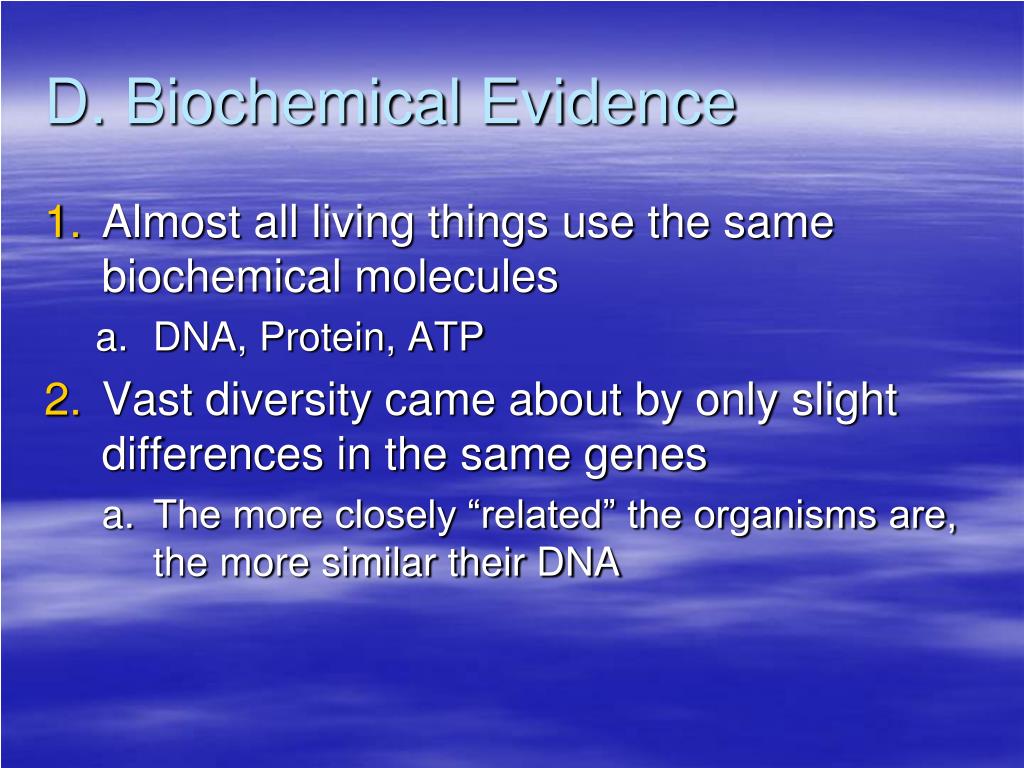 PPT Evidence for Evolution Notes PowerPoint Presentation, free