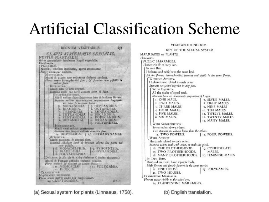 PPT Plant Taxonomy PowerPoint Presentation, free download ID1455437