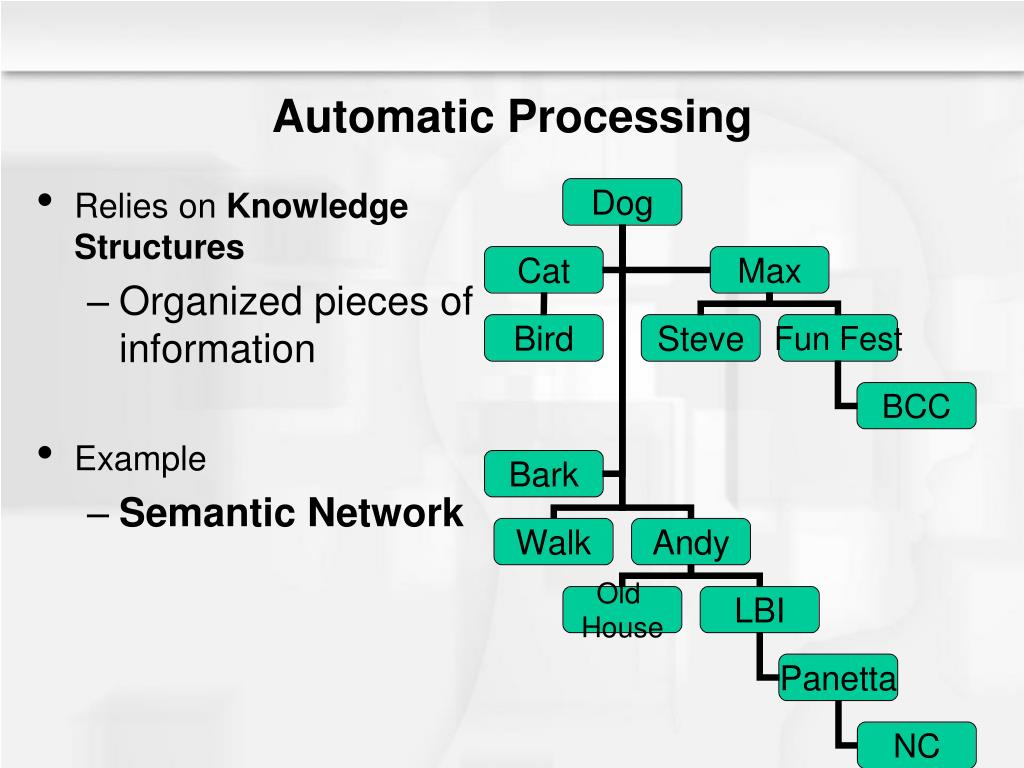 PPT Chapter 5 Social Cognition PowerPoint Presentation, free download