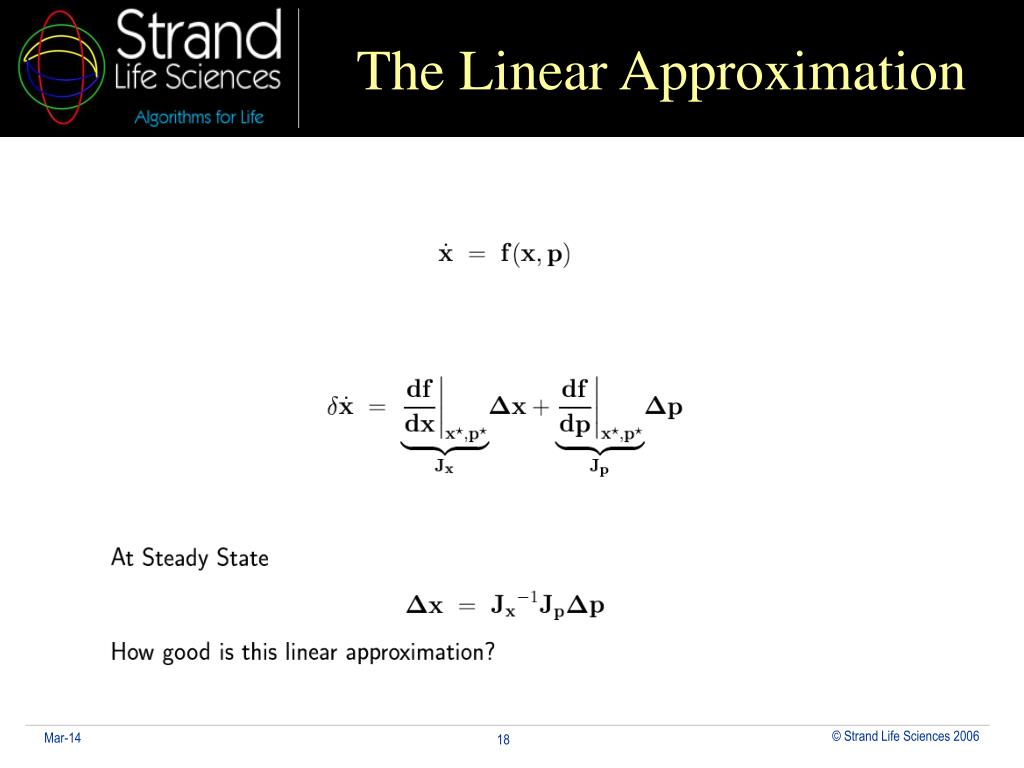 PPT Quantitative Modeling of Metabolic Networks PowerPoint