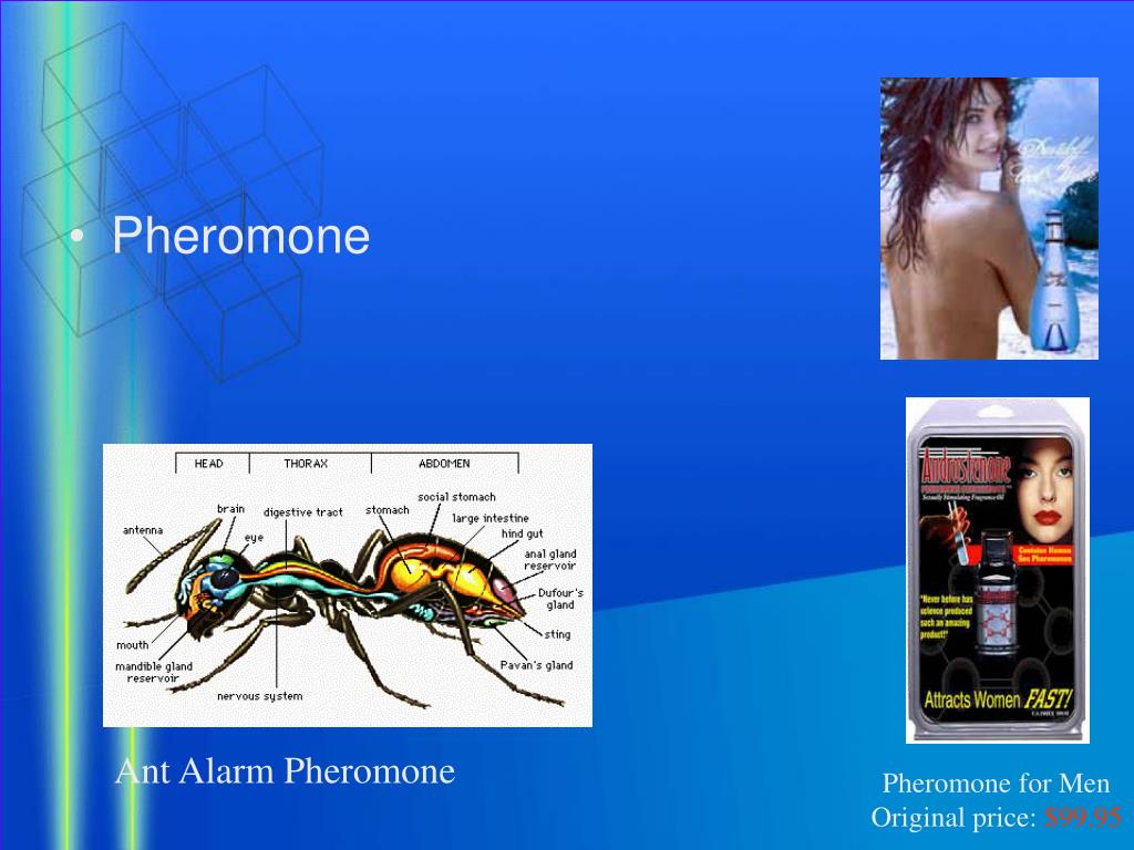 PPT Medical Education PowerPoint Presentation, free download ID1457735