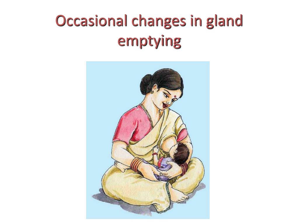 PPT Role of the milkborn negative regulatory system in control of milk secretion, milk