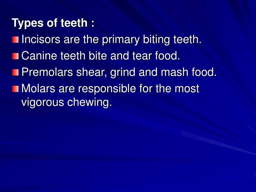 PPT Teeth PowerPoint Presentation, free download ID1459533
