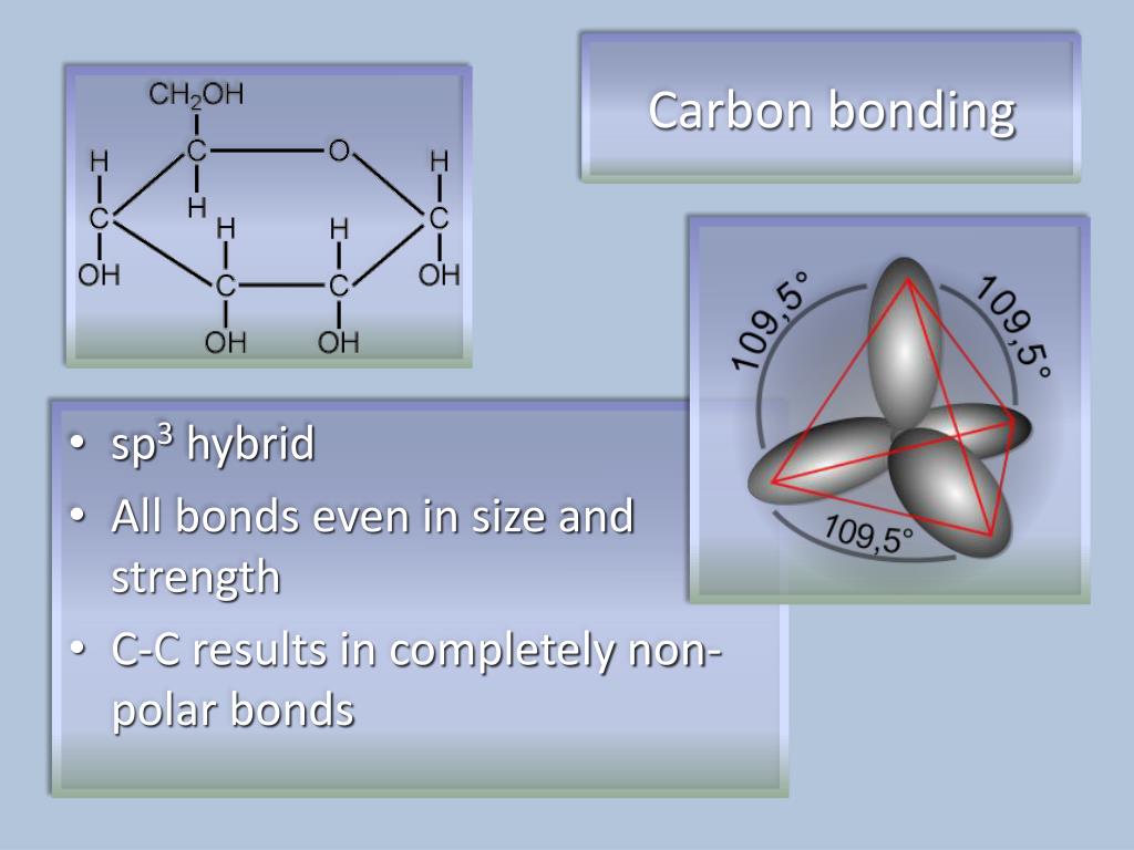 PPT Chapter 3 Biochemistry PowerPoint Presentation ID1460608