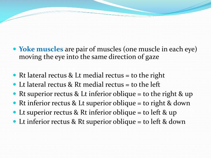 PPT Strabismus for 5 th yr medical students PowerPoint Presentation