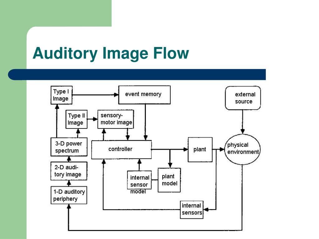PPT A SensoryMotor Theory of Rhythm, Time Perception and Beat