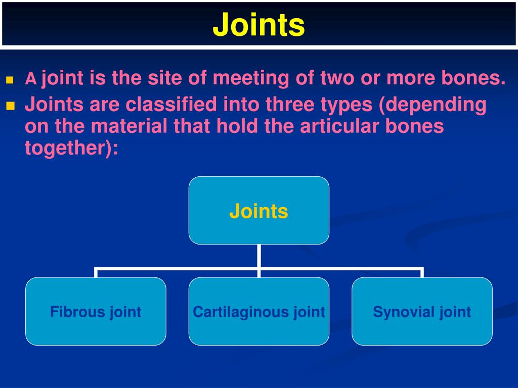 PPT Joints PowerPoint Presentation, free download ID1463231