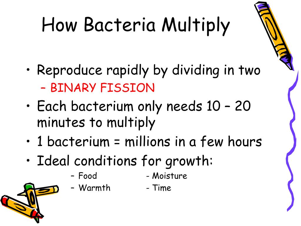 PPT HYGIENE RULES! ok PowerPoint Presentation, free
