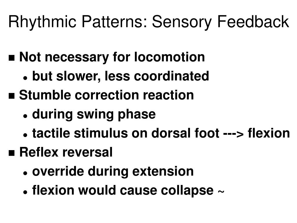 PPT Sensorimotor Control of Behavior Movement PowerPoint