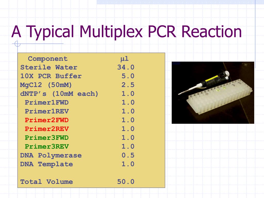 PPT Advanced PCR PowerPoint Presentation, free download ID1465358