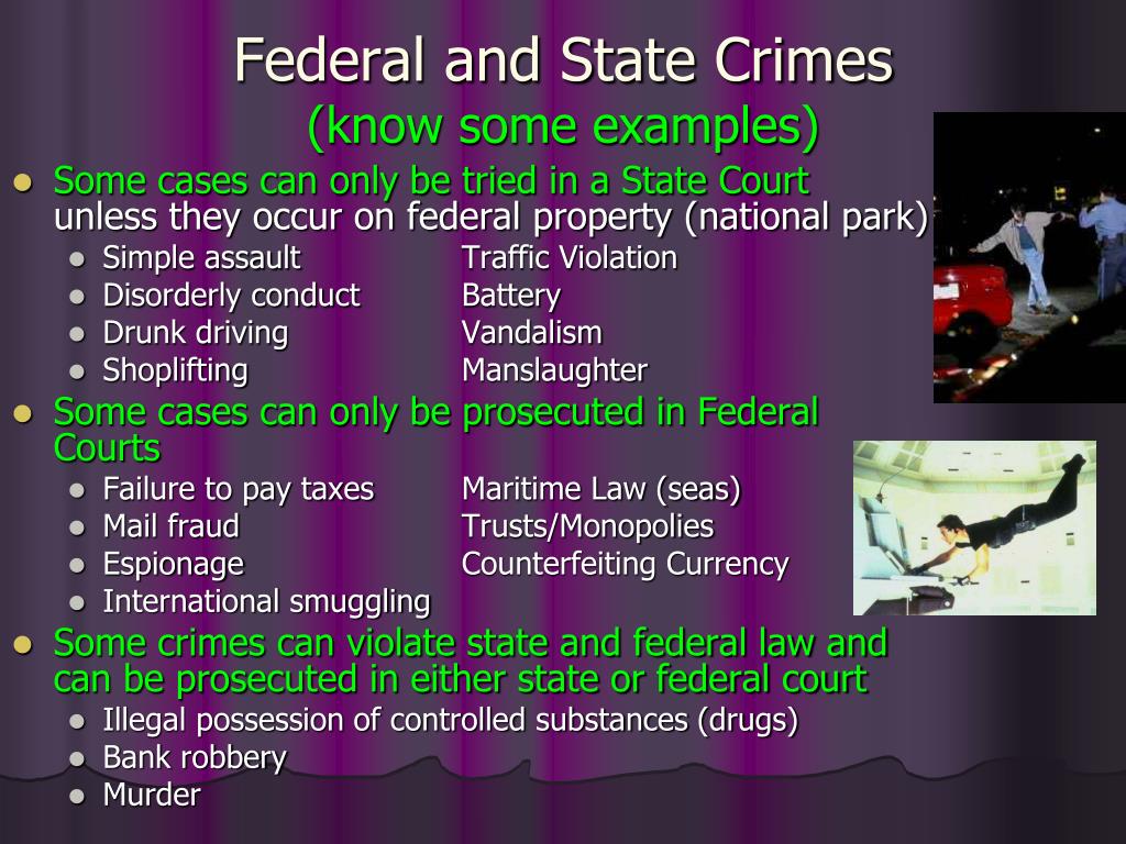 PPT An Introduction to Crimes and Criminal Law PowerPoint