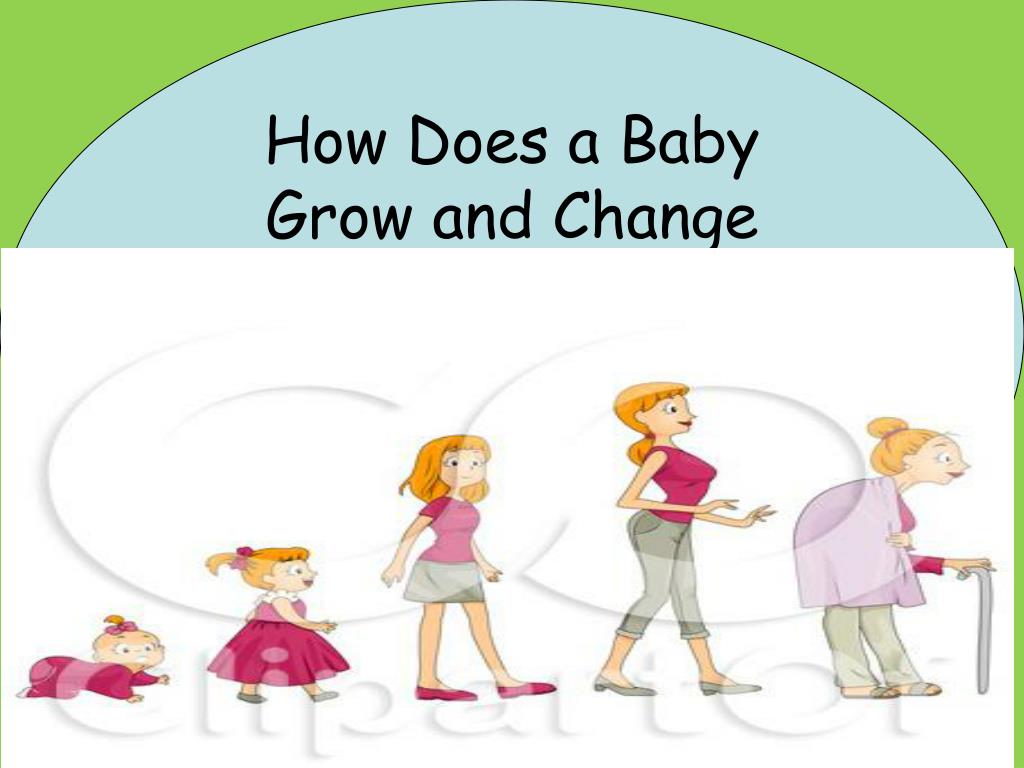 PPT How Does a Baby Grow and Change PowerPoint Presentation, free