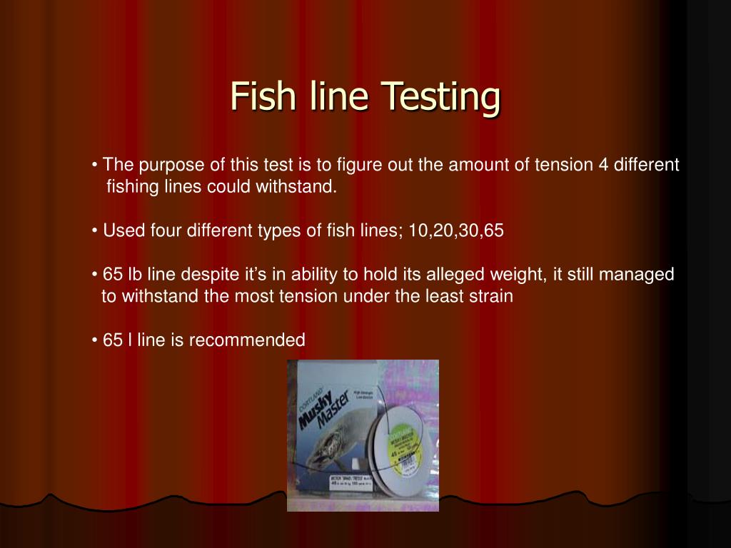 PPT Teh Sl4ck0rz!!!1!1 (group 8) PowerPoint Presentation, free download ID1472026