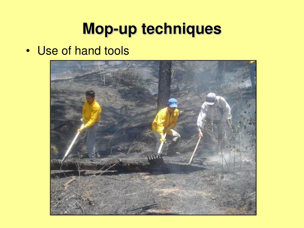 PPT Mopup PowerPoint Presentation, free download ID1472705