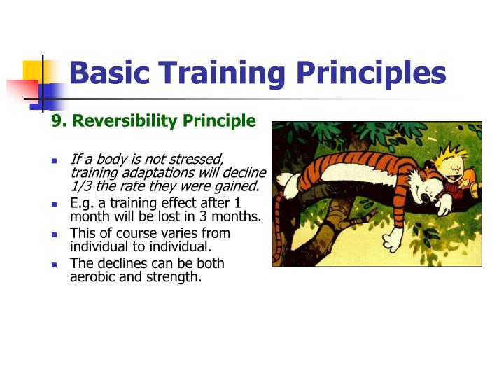 PPT Sports Performance 15 PowerPoint Presentation ID1474045