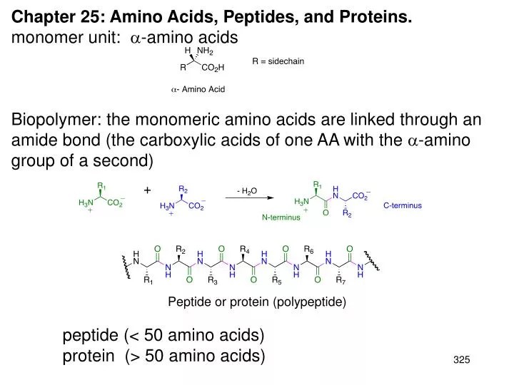 PPT Chapter 25 Amino Acids, Peptides, and Proteins. monomer unit