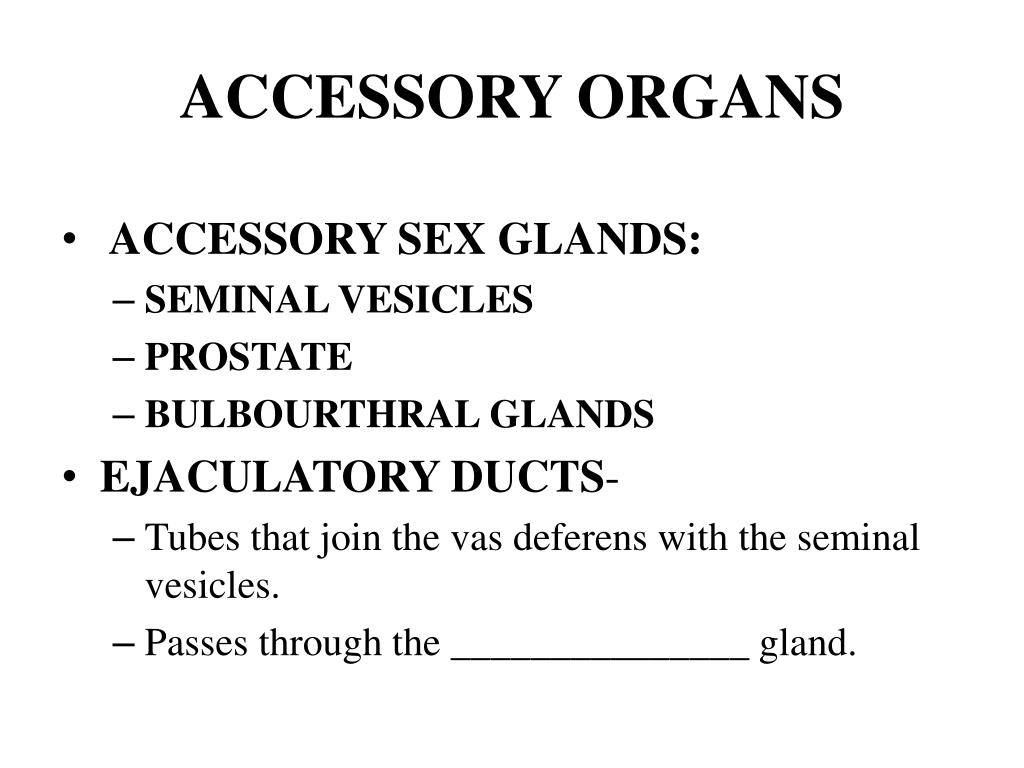 PPT Chapter 12 1 PowerPoint Presentation, free download ID1476656