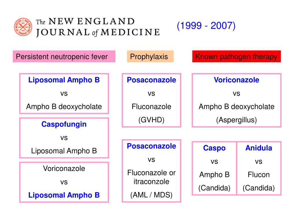 PPT Fungal infections in hematology patients advances in prophylaxis