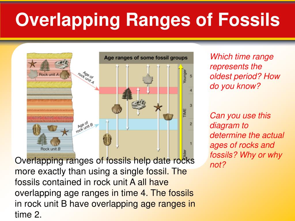 PPT 12.2 Fossils Evidence of Past Life PowerPoint Presentation, free